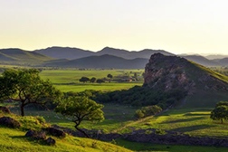 阿魯科爾沁網站建設