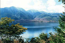 隆林網(wǎng)站建設(shè)