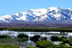 肅北網(wǎng)站建設