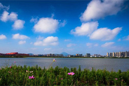 銅陵網(wǎng)站建設