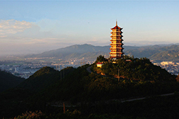文山州網(wǎng)站建設