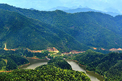 西疇網(wǎng)站建設