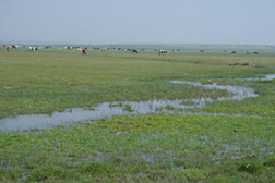 興和網(wǎng)站建設(shè)