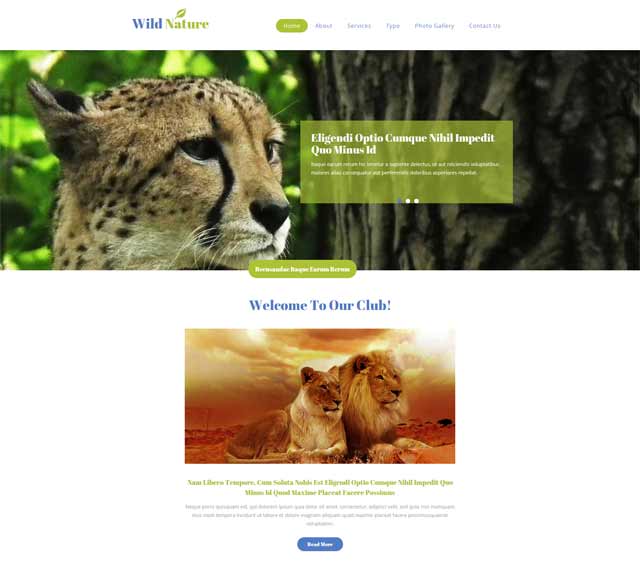 優秀品牌網站設計欣賞