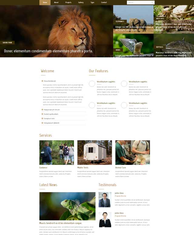 深圳羅湖營銷型網站建設 深圳羅湖營銷型網站建設