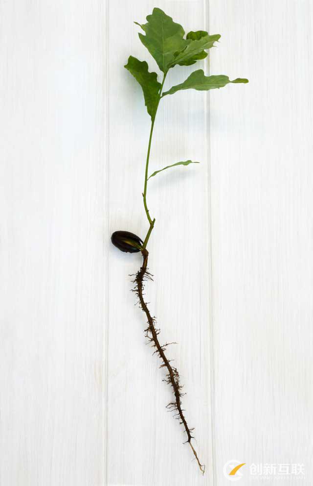 5個常見的Ajax問題的解決方案 5個常見的Ajax問題的解決方案